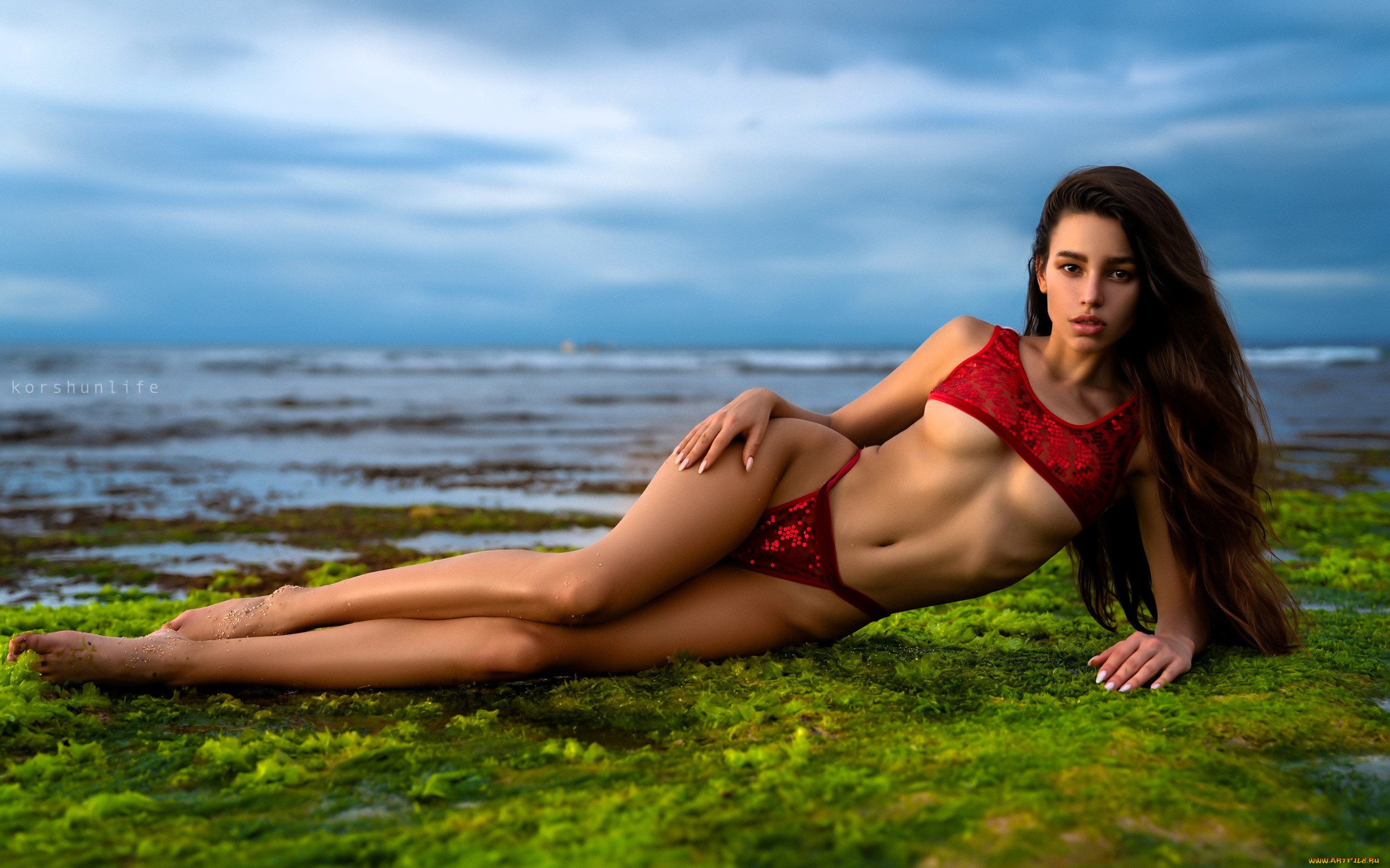 roza royce, , , , , 